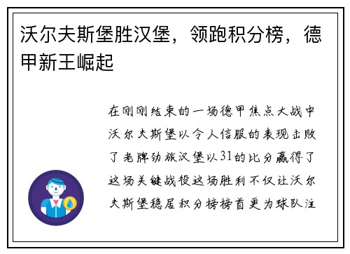 沃尔夫斯堡胜汉堡，领跑积分榜，德甲新王崛起