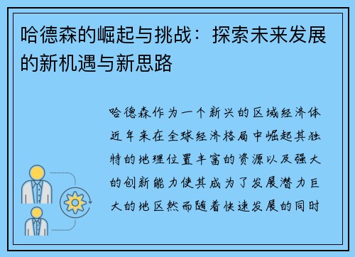 哈德森的崛起与挑战：探索未来发展的新机遇与新思路