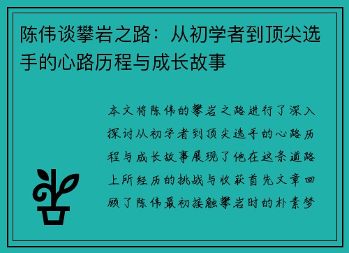 陈伟谈攀岩之路：从初学者到顶尖选手的心路历程与成长故事